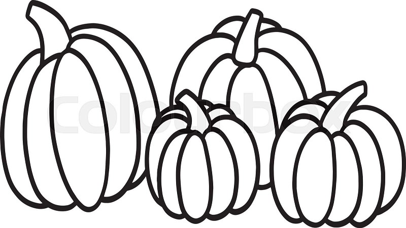Thanksgiving pumpkins isolated coloring page for kids stock vector