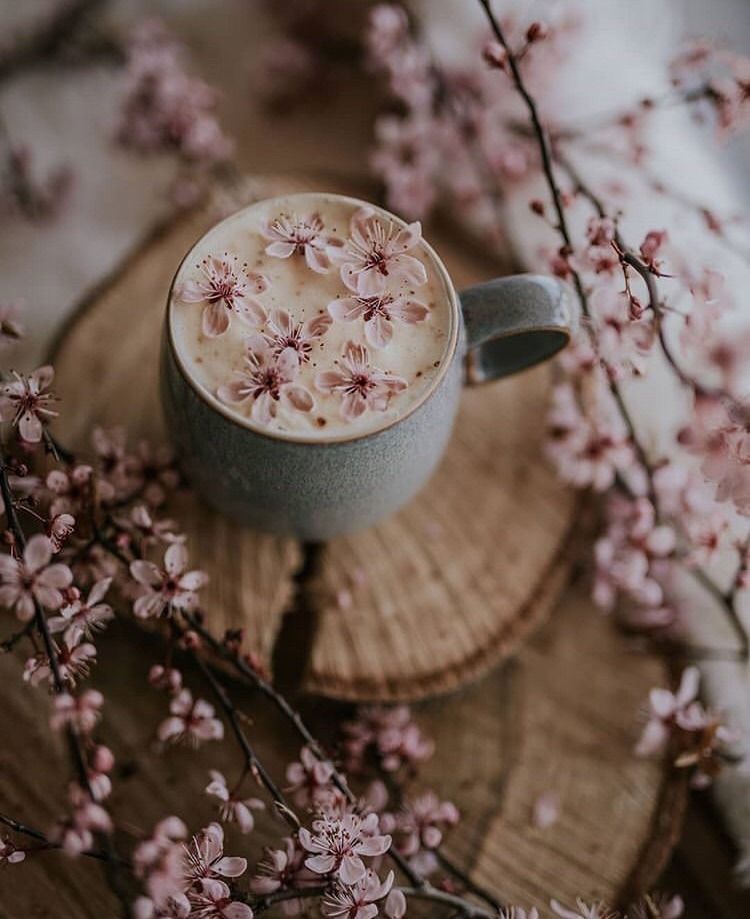 Find beauty everywhere photo spring wallpaper coffee wallpaper coffee art