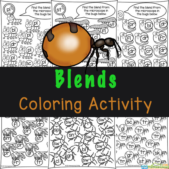 Ð free printable bug color by blend worksheets for kids