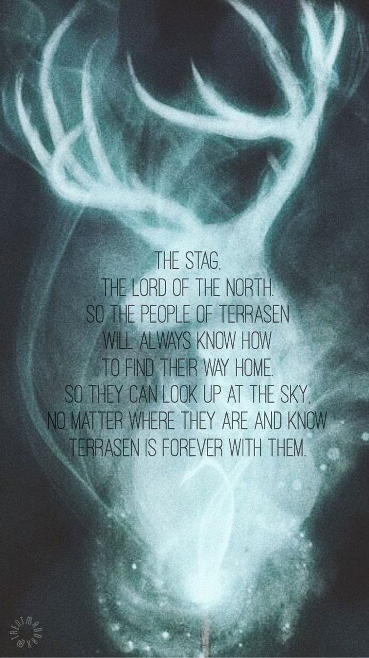 One of my favorite tog quoteswallpapers ð