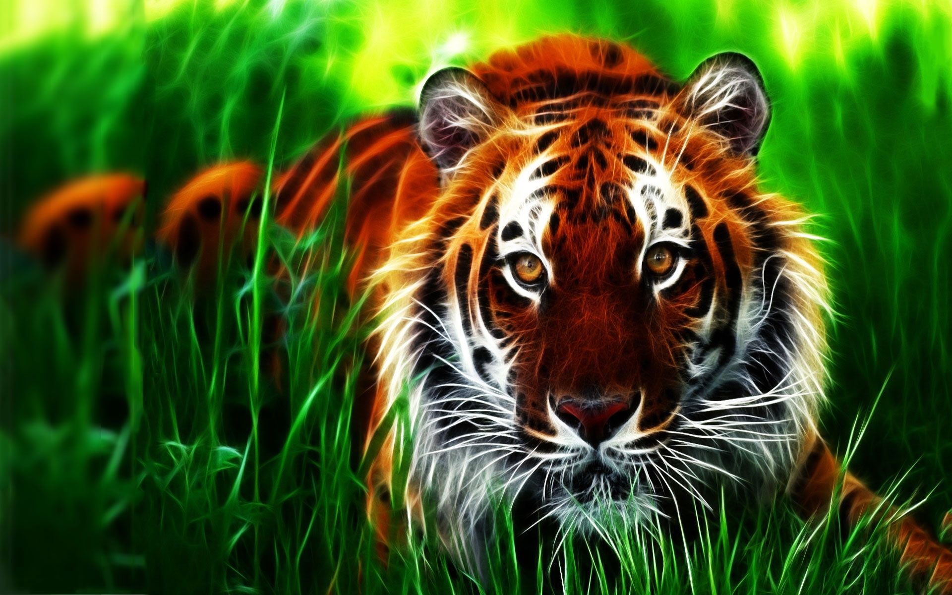 Tiger wallpapers â