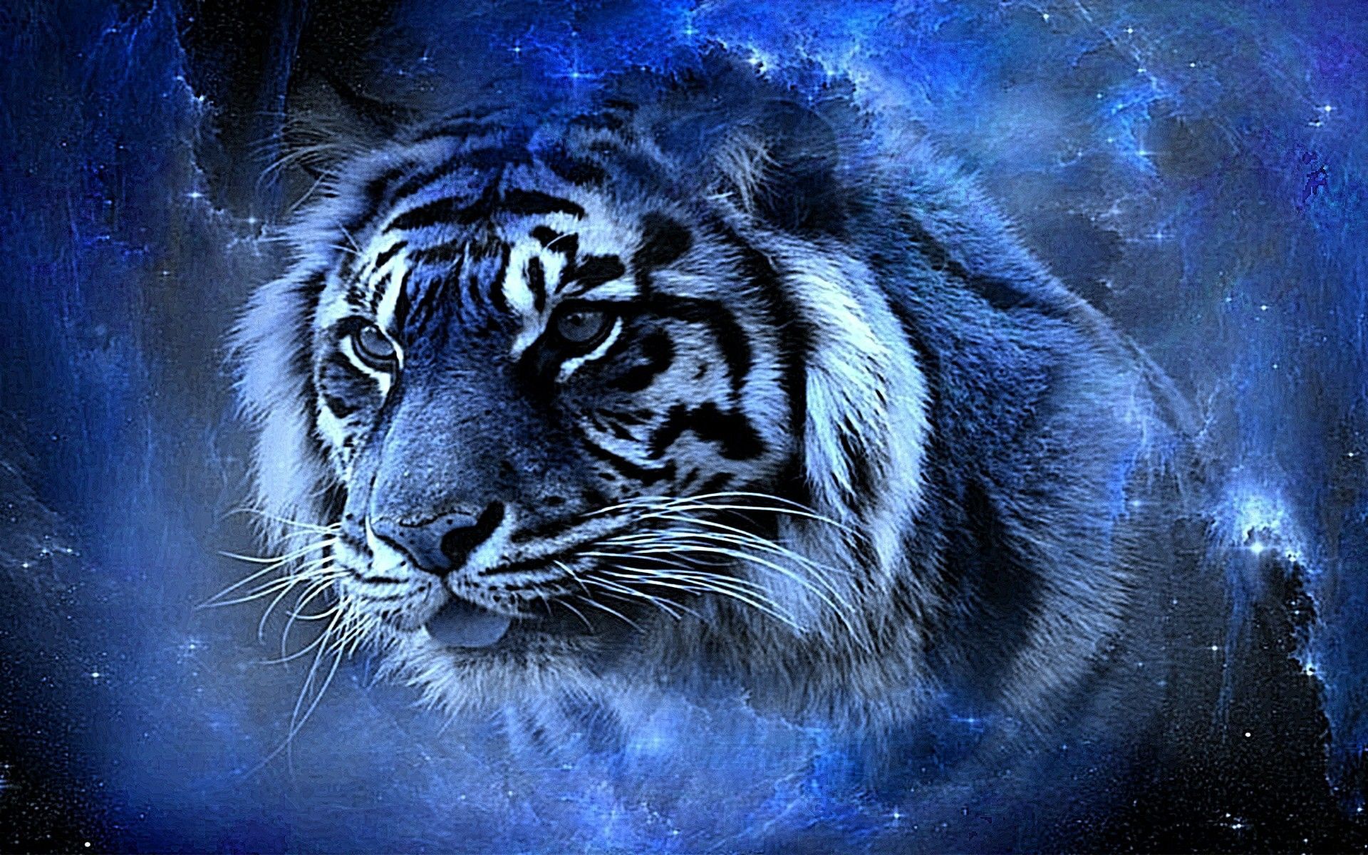 Free tiger wallpapers