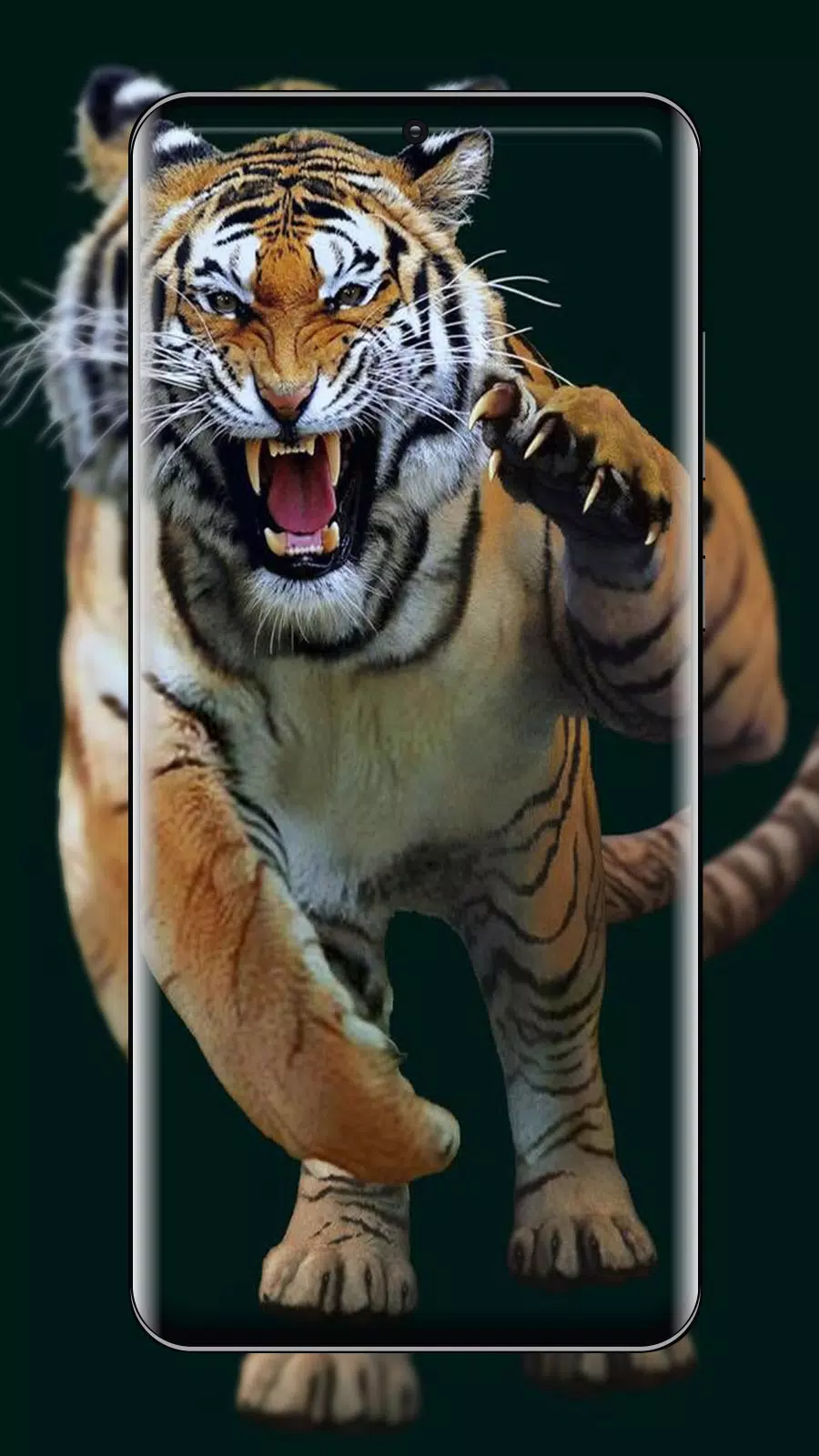 Tiger wallpaper free apk fãr android herunterladen