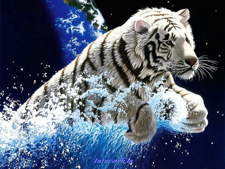 Tiger d art hd wallpapers free download at httpgethdwallpapertigerdart