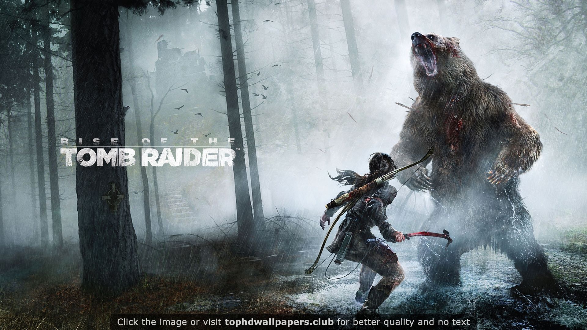 Rise of the tomb raider pc game hd wallpaper tomb raider wallpaper tomb raider tomb raider pc