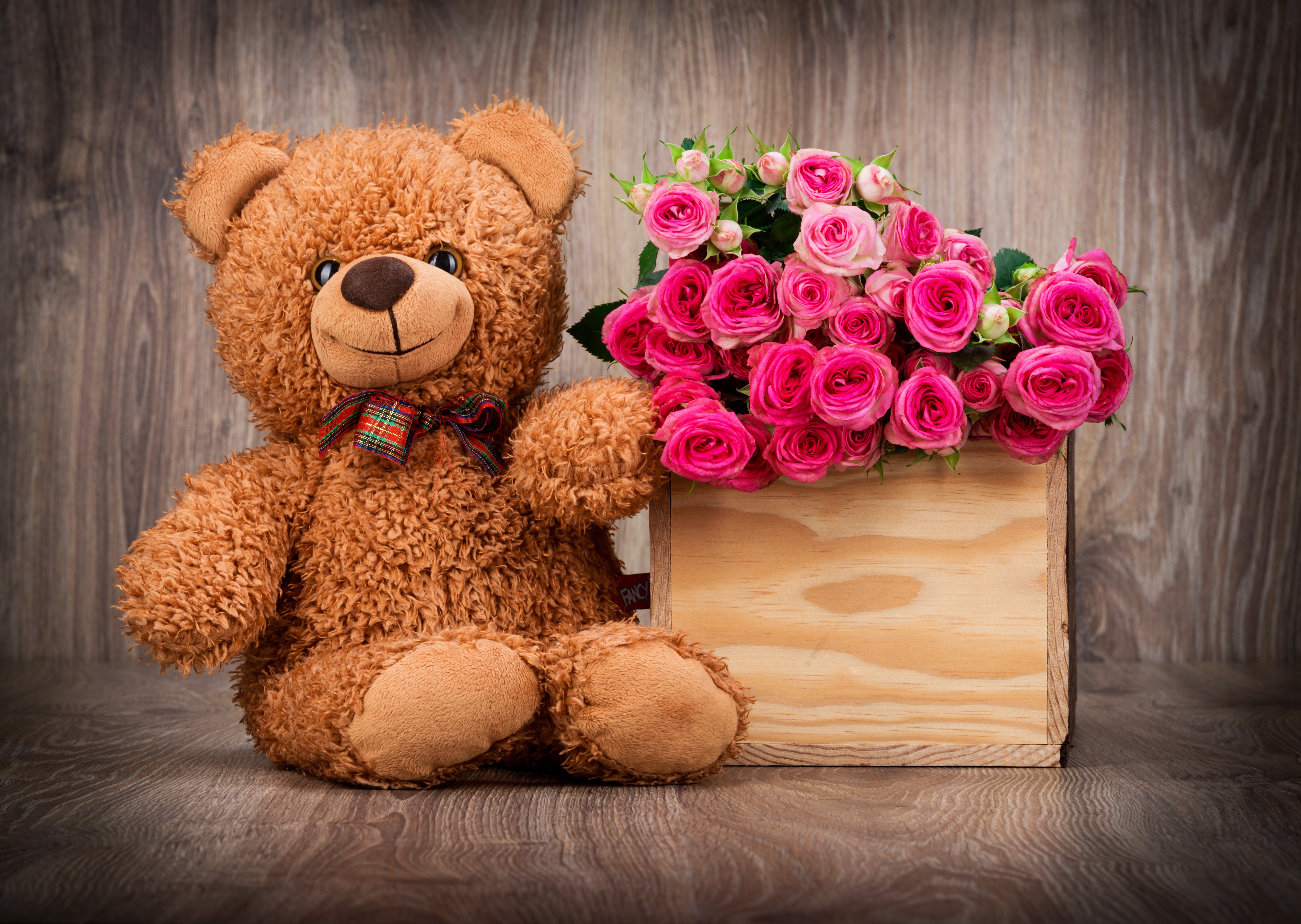 K k k roses toys teddy bear pink color