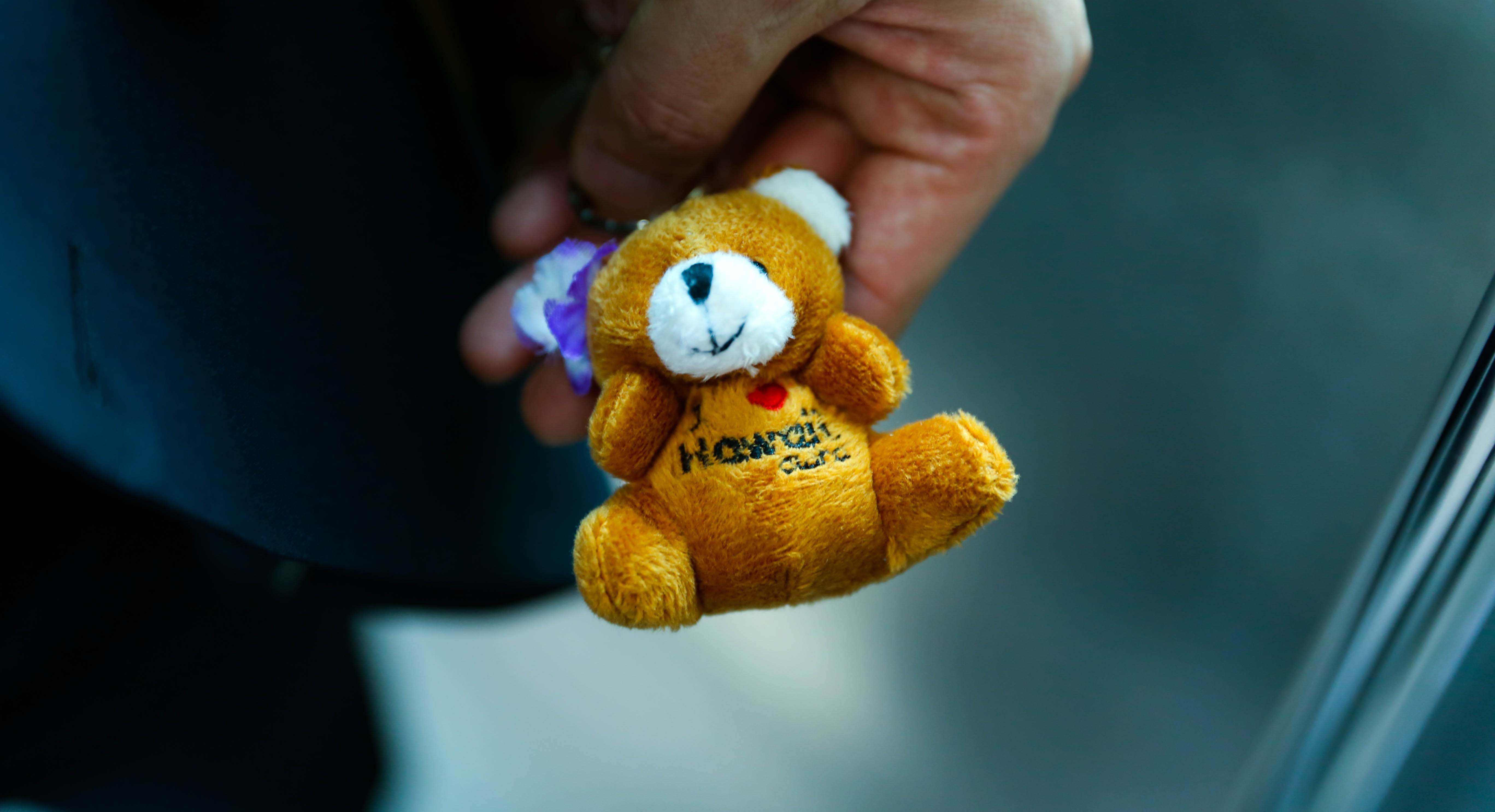 Wallpaper yellow blue toy color flower hand puter wallpaper close up macro photography teddy bear stuffed toy x