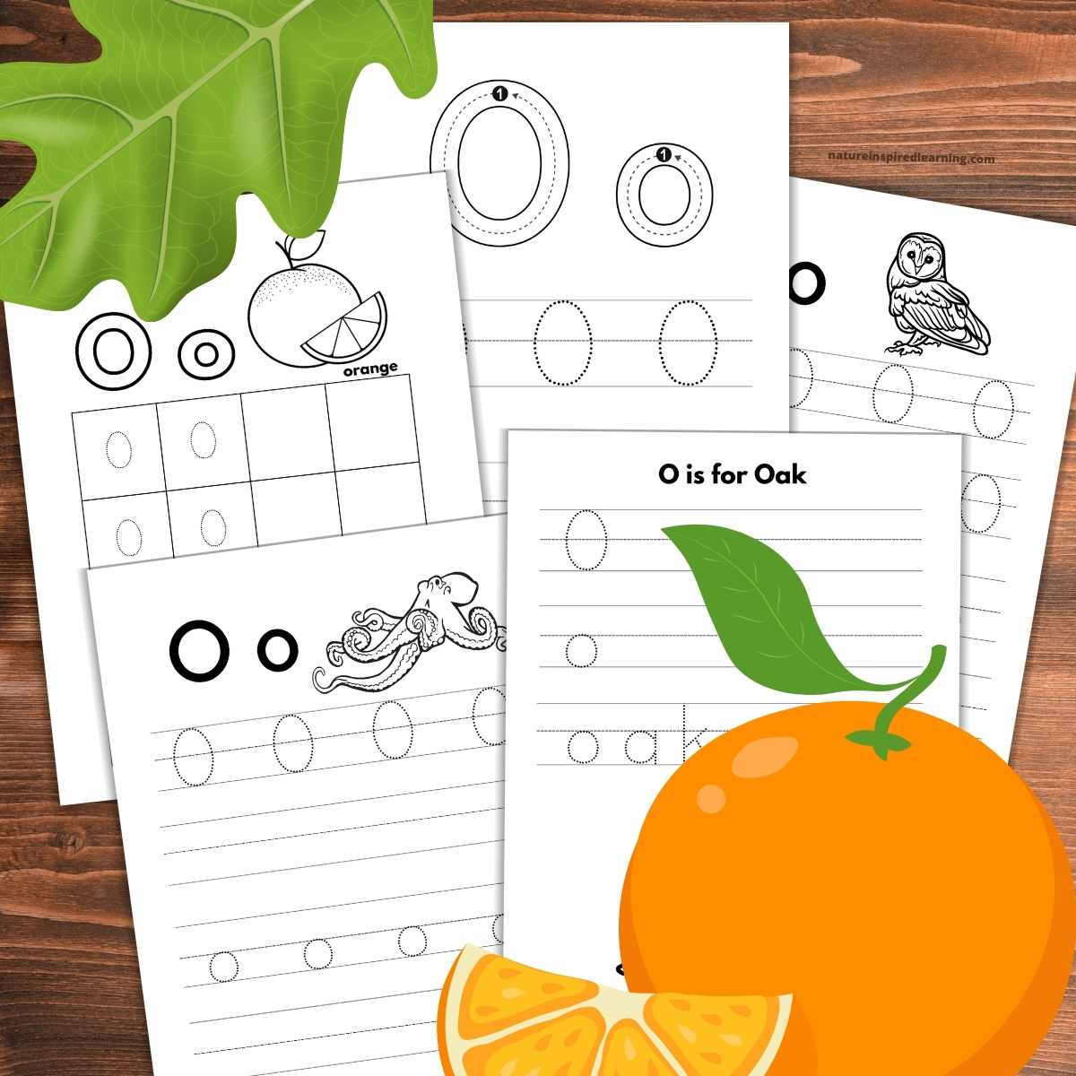 Free letter o tracing worksheets
