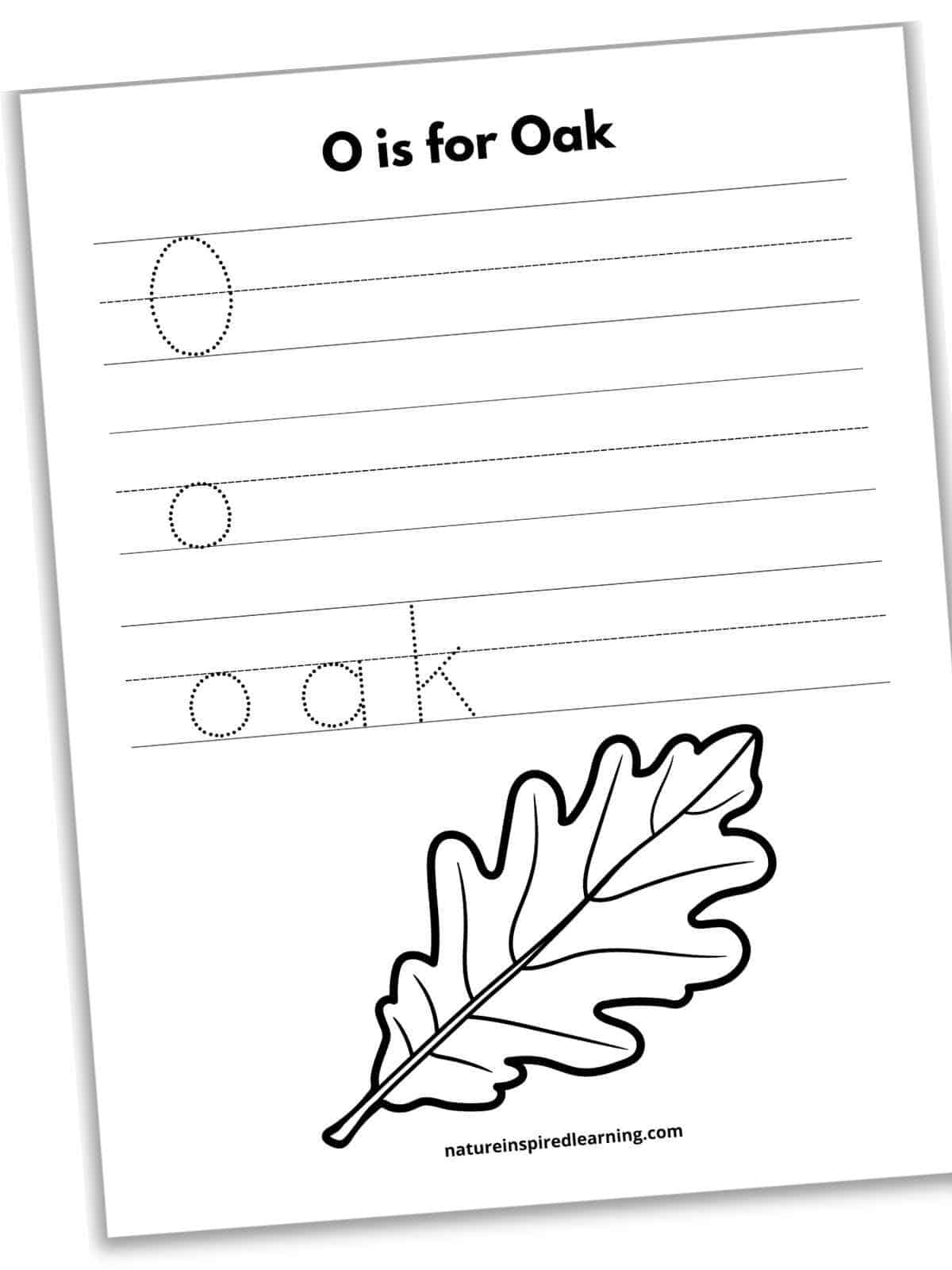 Free letter o tracing worksheets