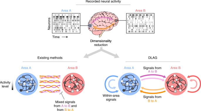 Disentangling the flow of signals between populations of neurons putational science