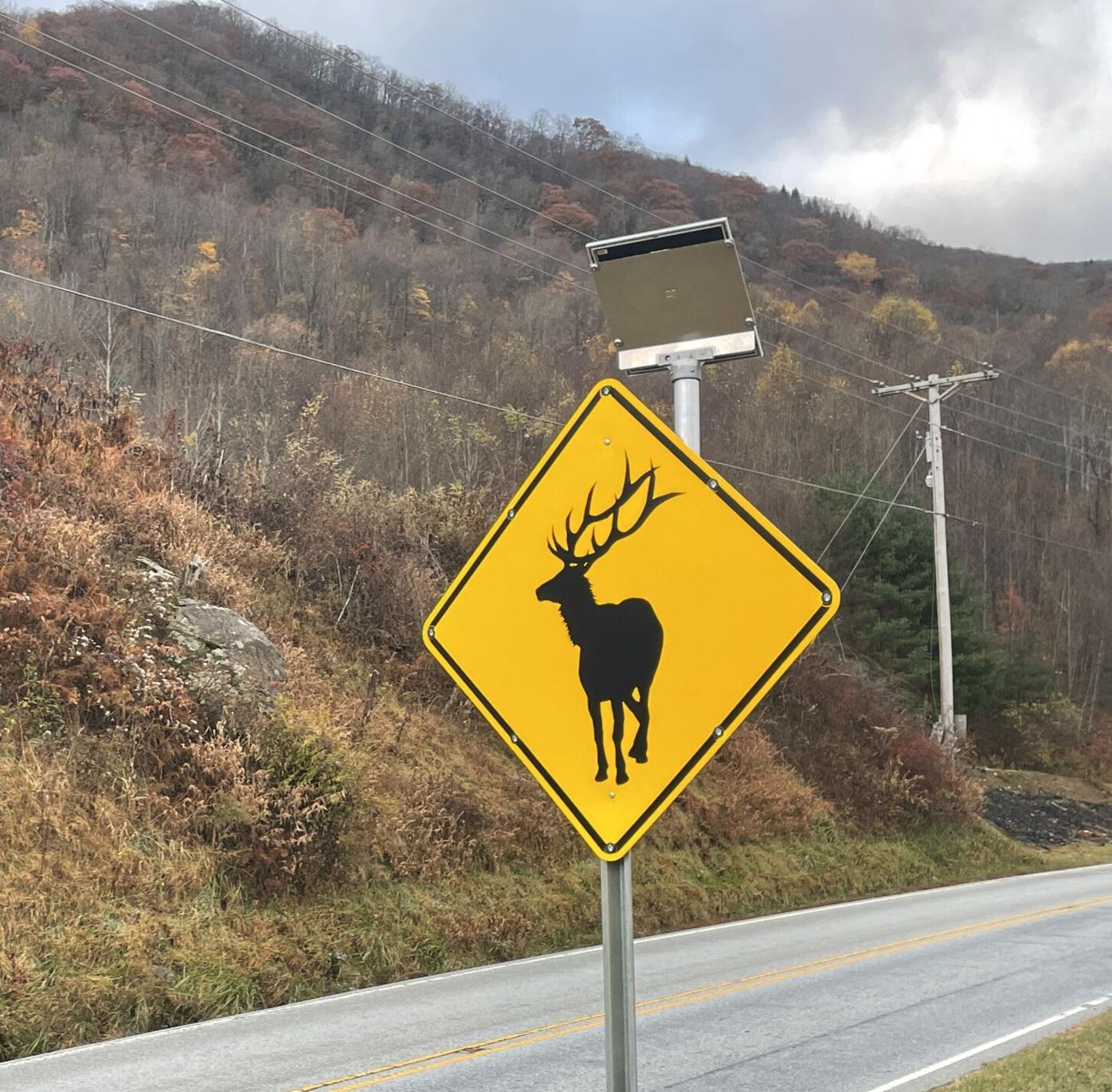 New elk crossing signs installed following theft news