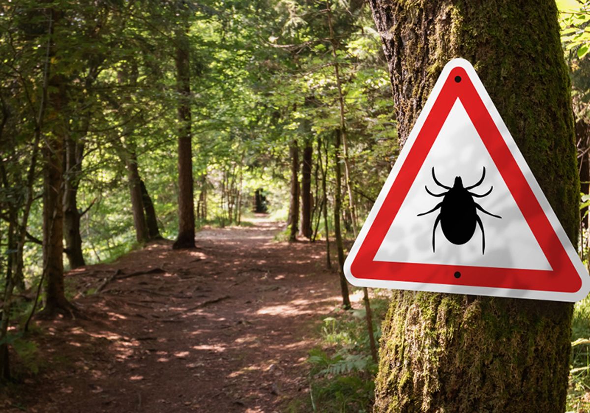 Newly developed mrna vaccine protects against lyme disease the scientist magazine