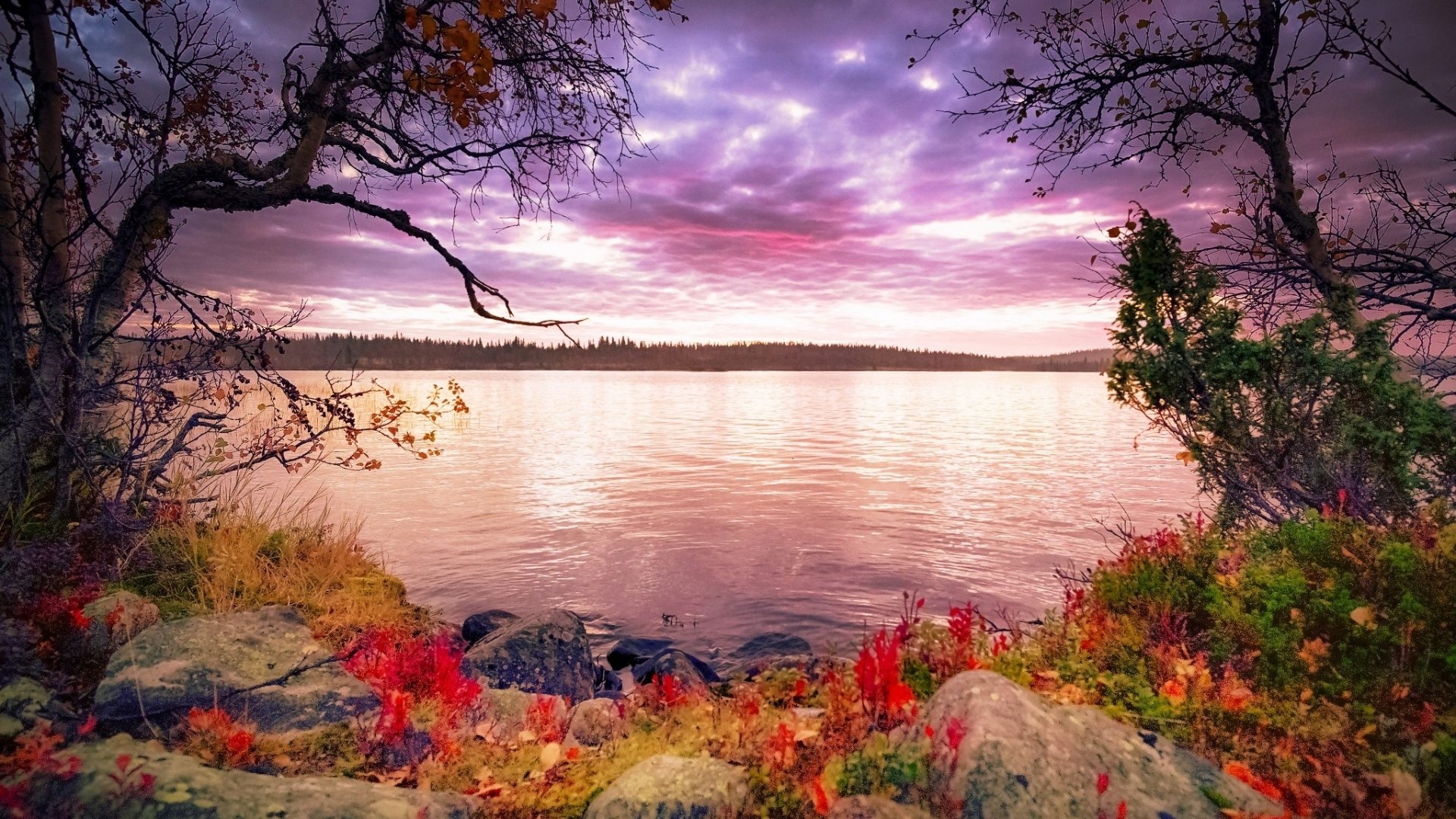 Wallpaper id image orange background clouds cenario nice stones scenario wallpaper reflection early sky trees panorama water tranquil cool purple awesome violet great landscape fall red scenic autumn brown x
