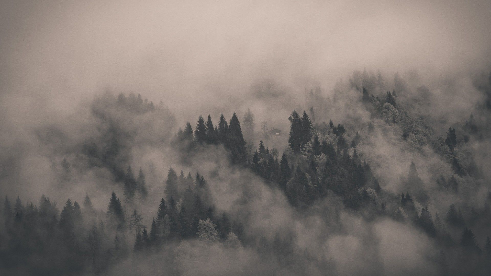 Creepy landscapes nature trees fog mist atmospheric forest landscape wallpaper mountain wallpaper hd wallpaper