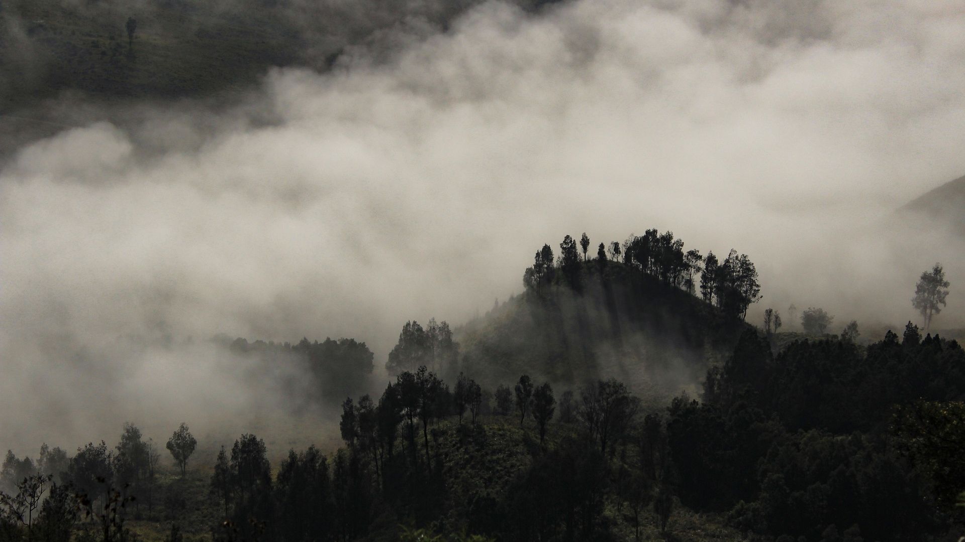 Desktop wallpaper foggy tree landscape fog nature horizon hd image picture background kxixl