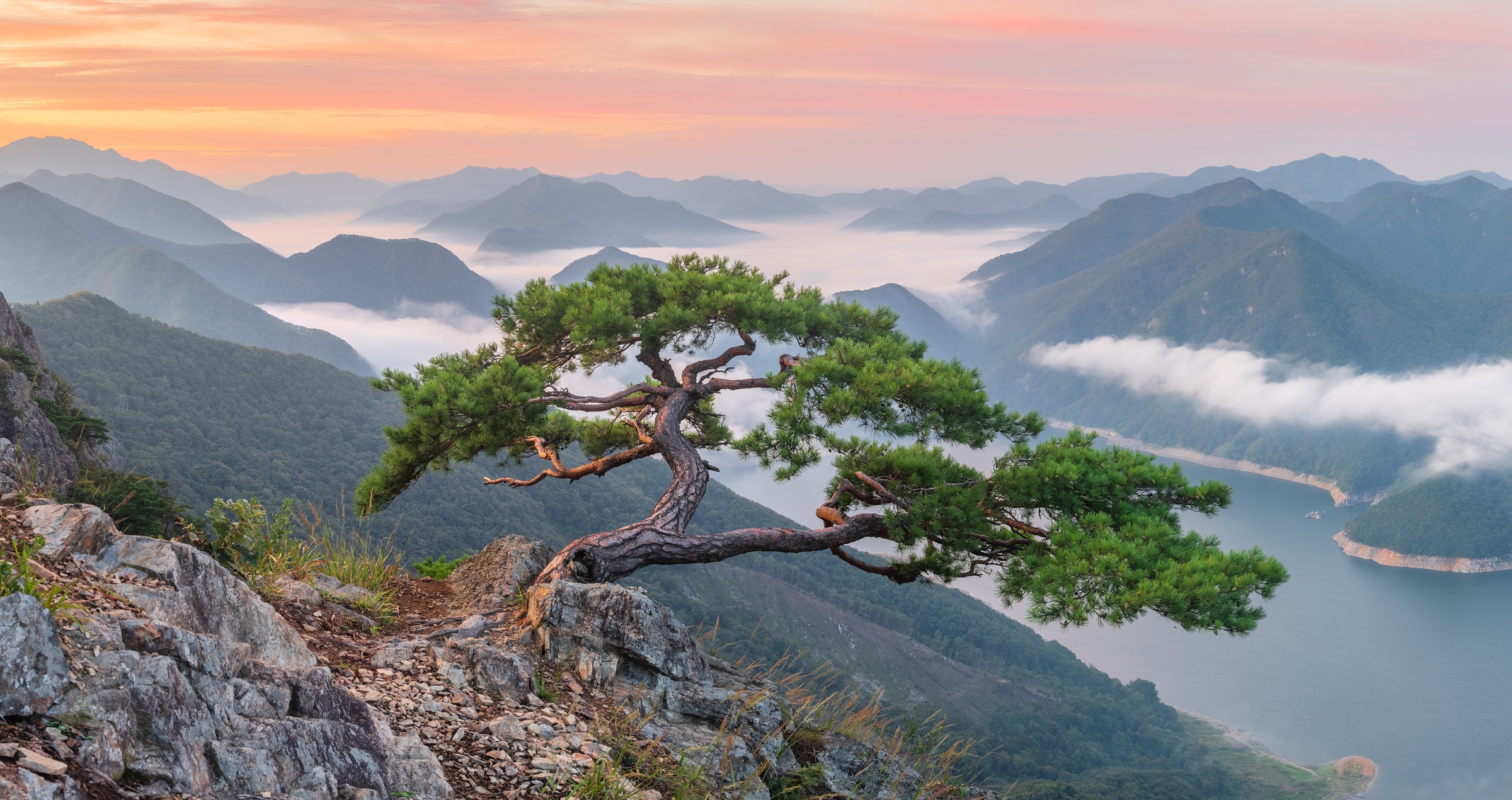 Hd desktop landscape nature trees mountain tree fog earth river south korea download free picture