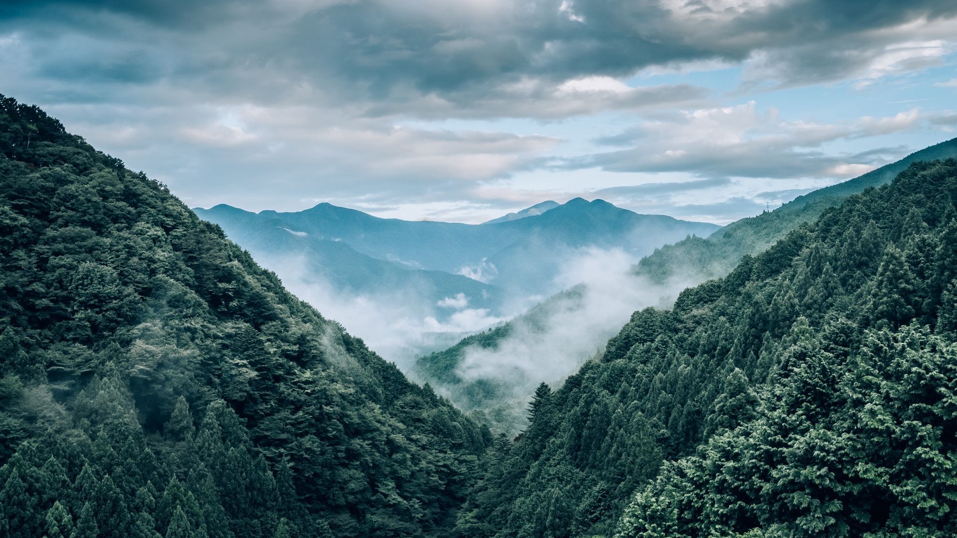 Wallpaper fog mountains trees aerial view landscape landscape wallpaper aerial views landscape mountain landscape