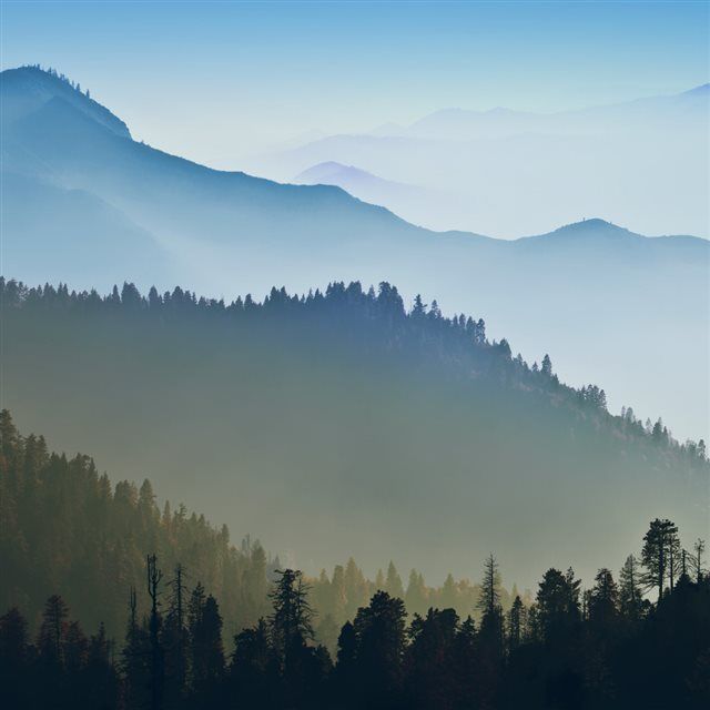 Foggy mountains forest landscape ipad wallpaper forest landscape foggy mountains landscape