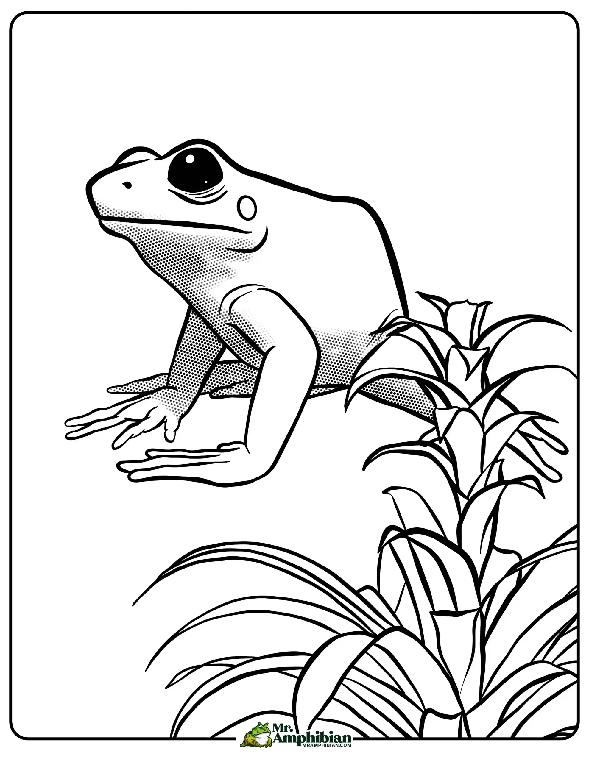 Frog coloring pages printable