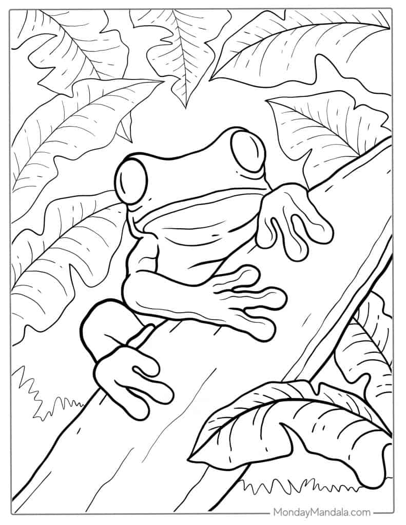 Frog coloring pages free pdf printables