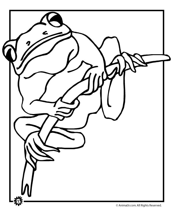 Tree frog coloring page frog coloring pages coloring pages hello kitty colouring pages
