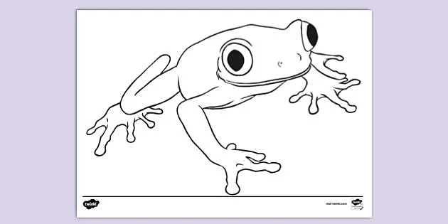 Frog louring page