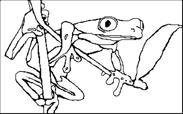 Coloring book red eyed tree frog