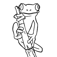 Delightful frog coloring pages for your little ones