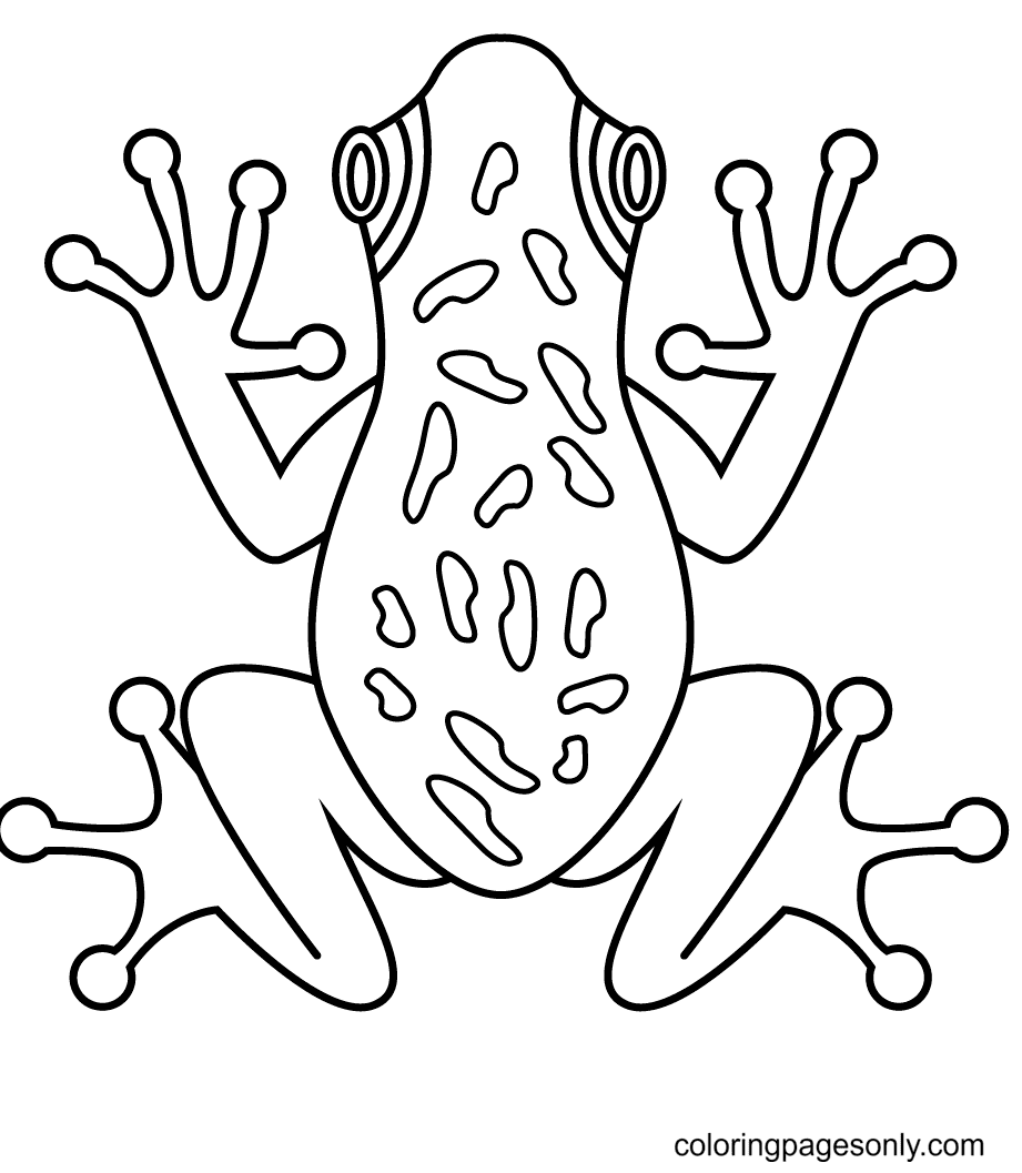Frog coloring pages printable for free download