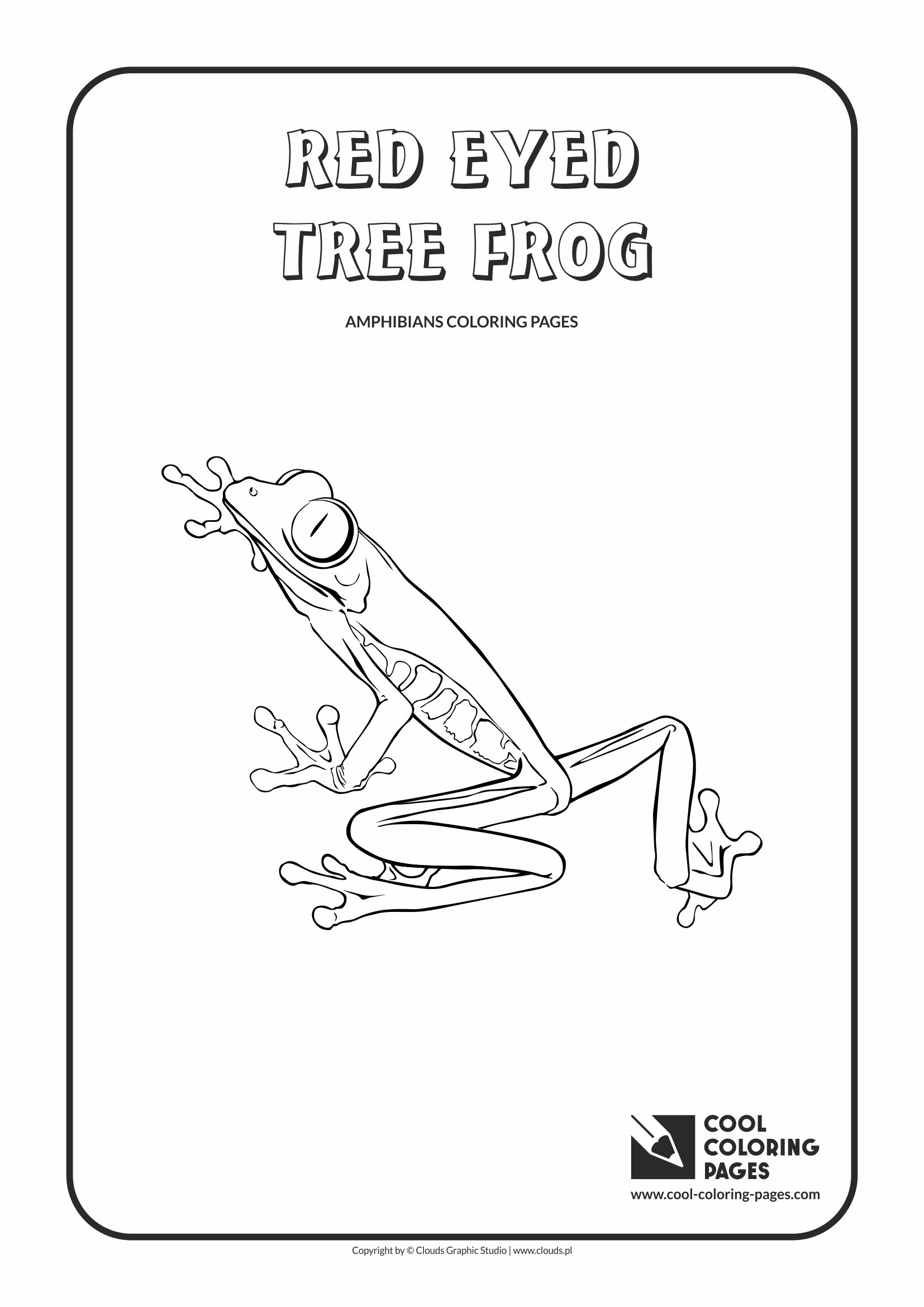 Cool coloring pages red eyed tree frog coloring page