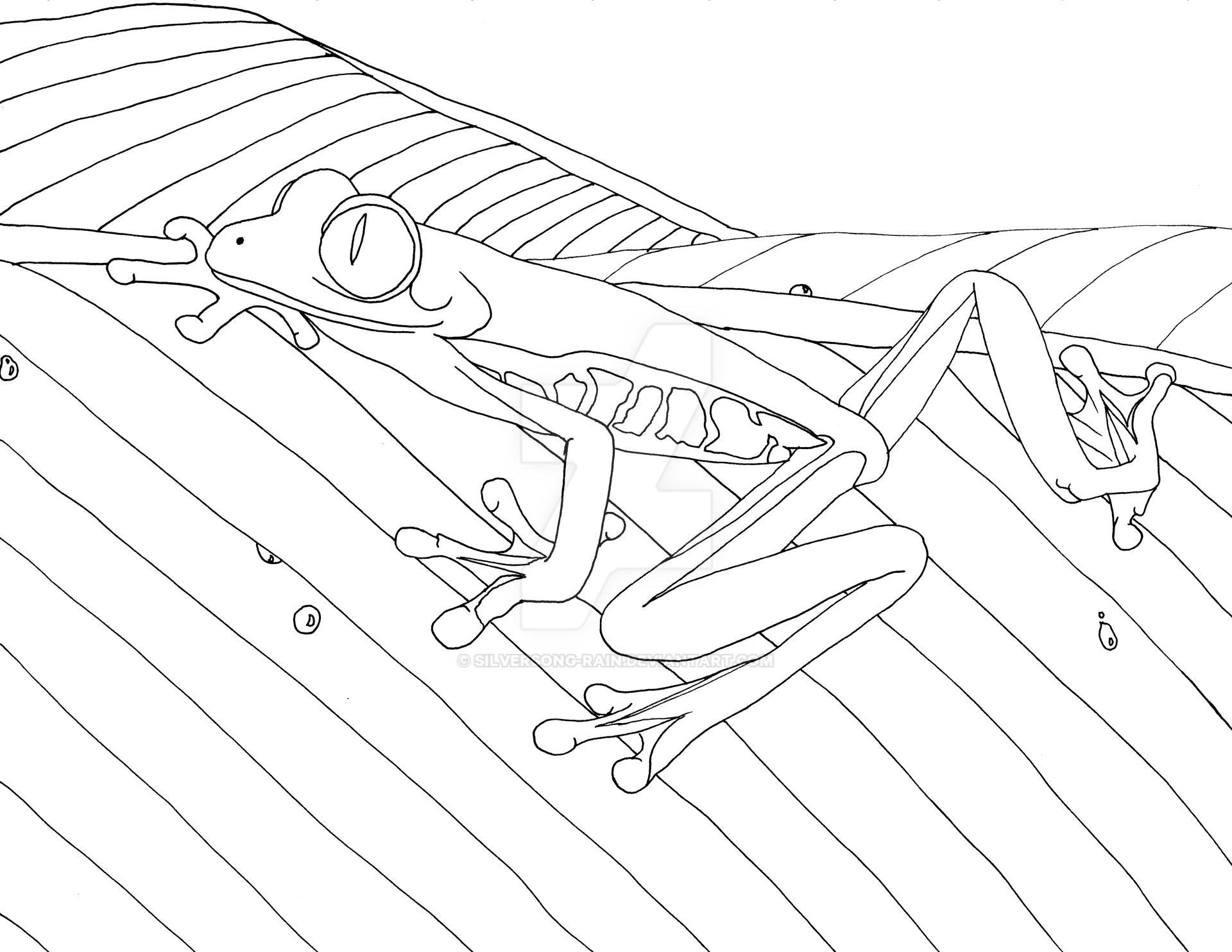Red eyed tree frog coloring page by silversong