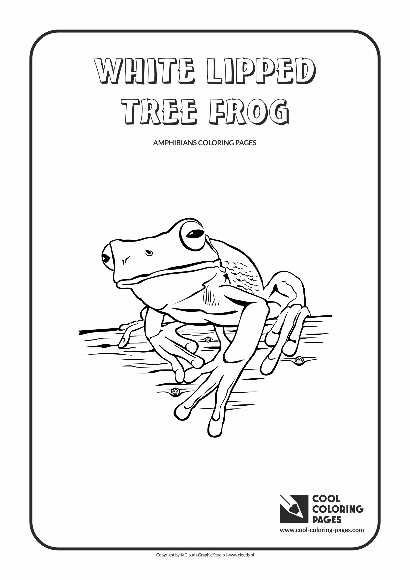 Cool coloring pages white lipped tree frog coloring page