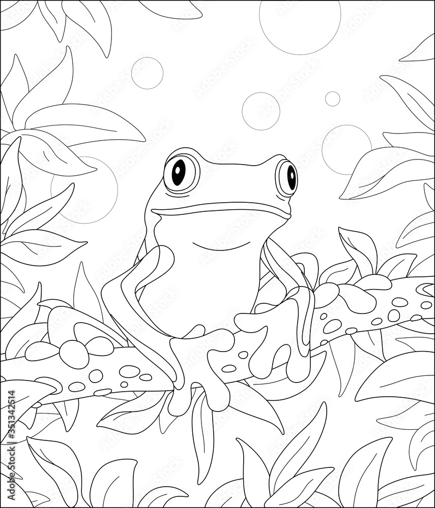 Funny poisonous frog sitting on a tree branch in a wild tropical jungle black and white outline vector cartoon illustration for a coloring book page vector