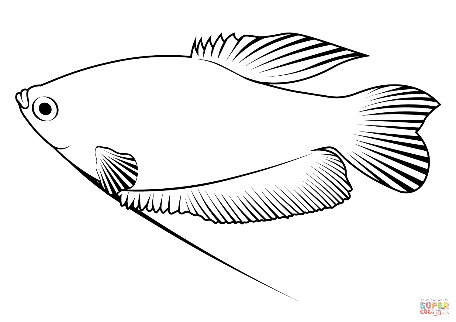 Three spot gourami trichopodus trichopterus coloring page free printable coloring pages