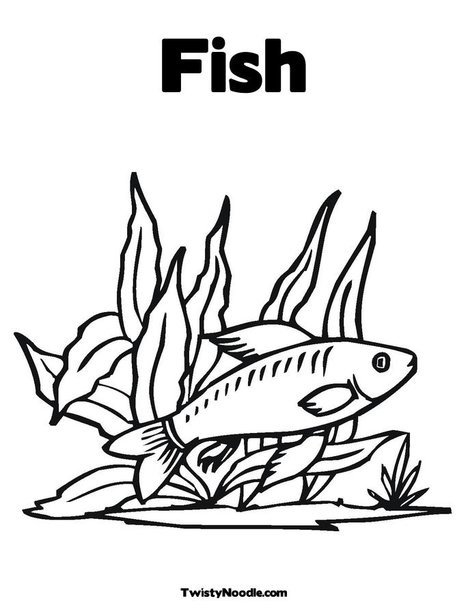 Fish in seaweed coloring page animal coloring pages fish coloring page coloring pages