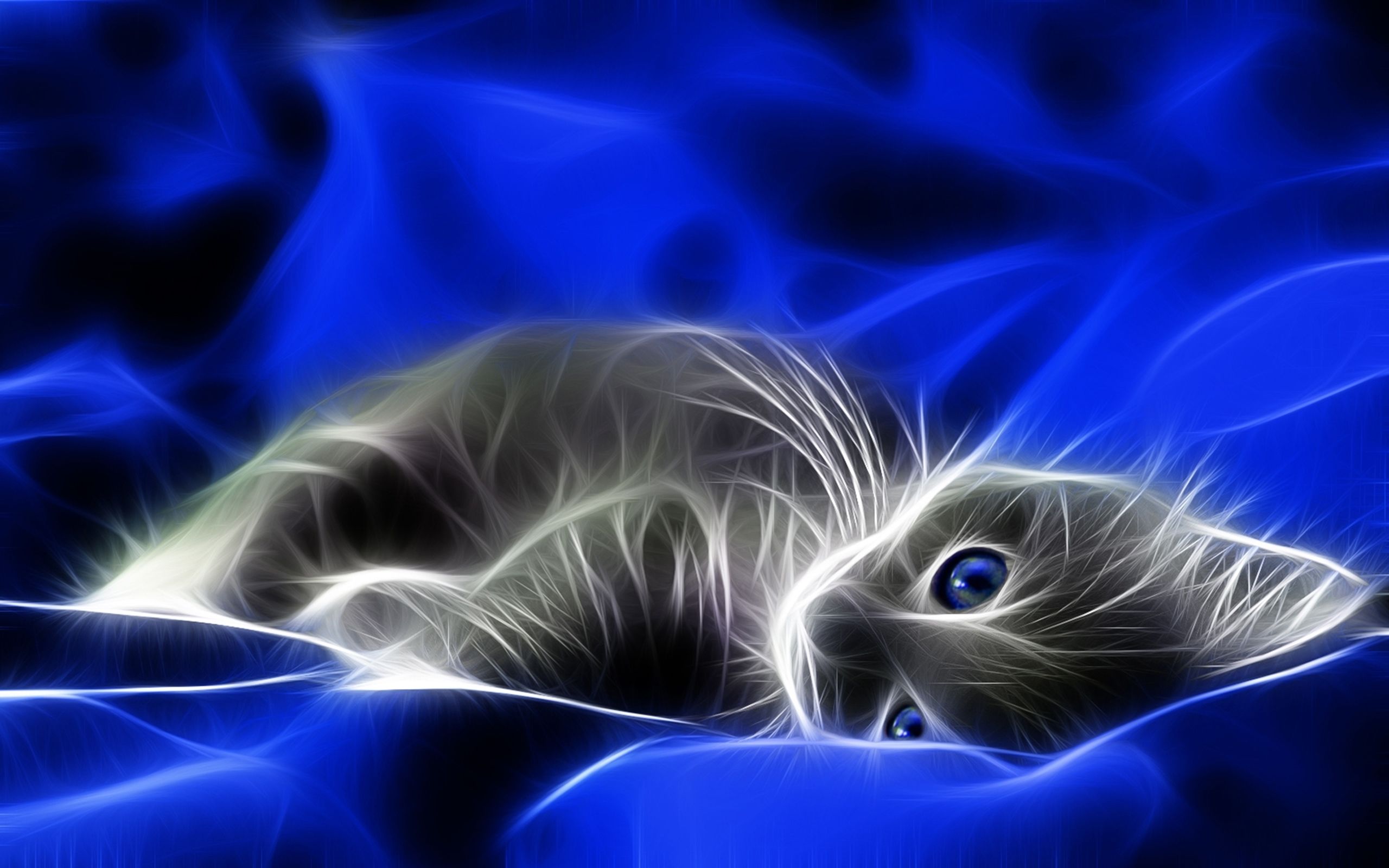Abstract cat wallpapers