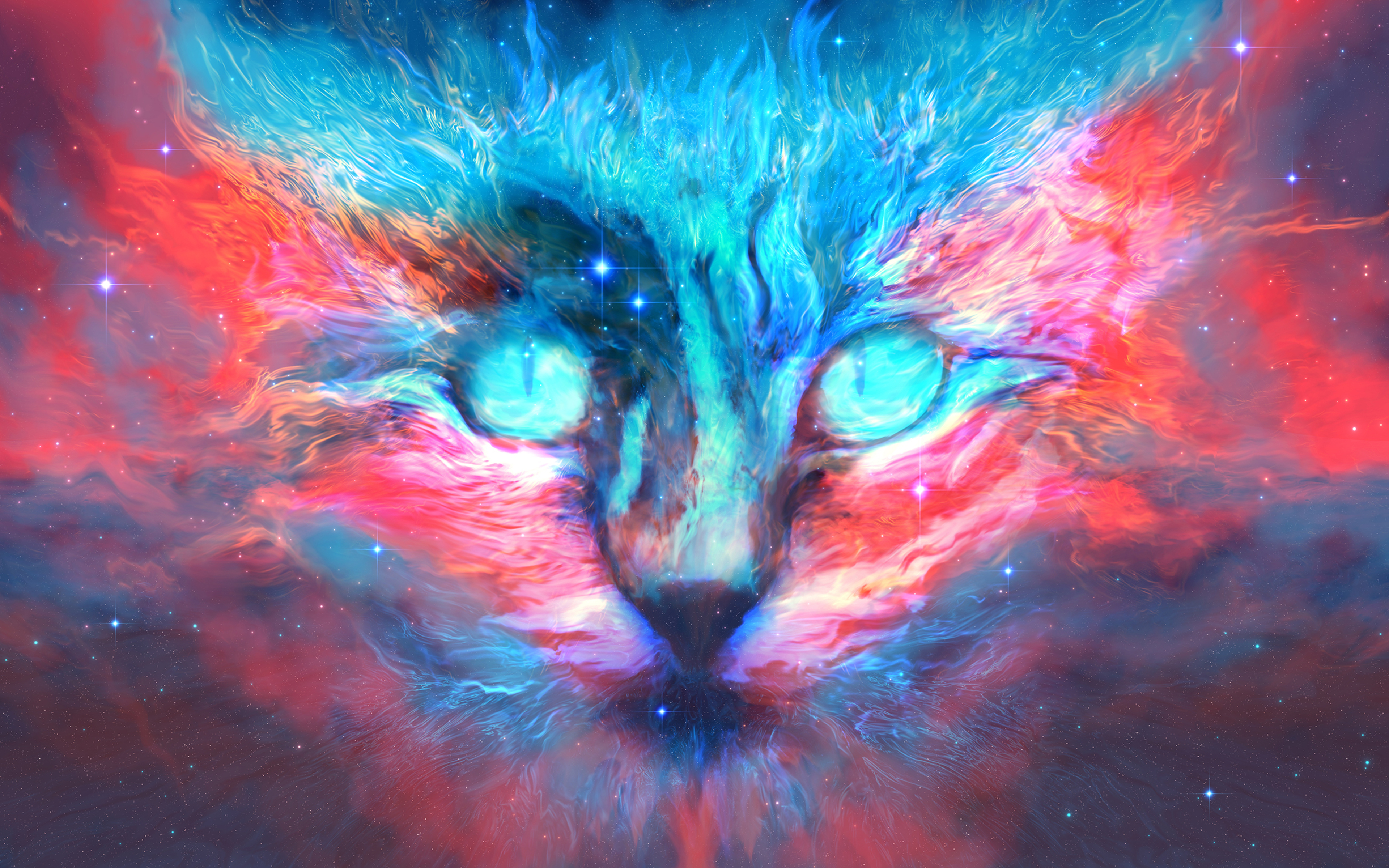X into dreams cat k hd k wallpapers images backgrounds photos and pictures