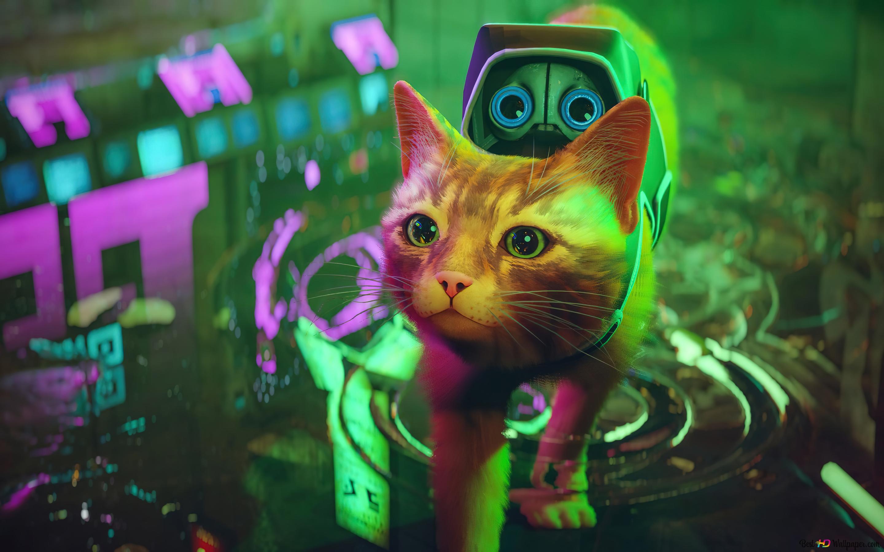 Cat from stray video game k wallpaper download