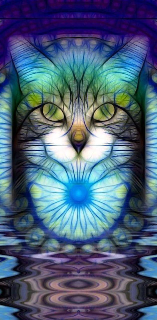 Trippy cat wallpaper by michael