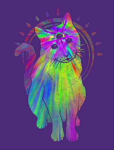 Trippy cat trippy cat psychedelic art cat art