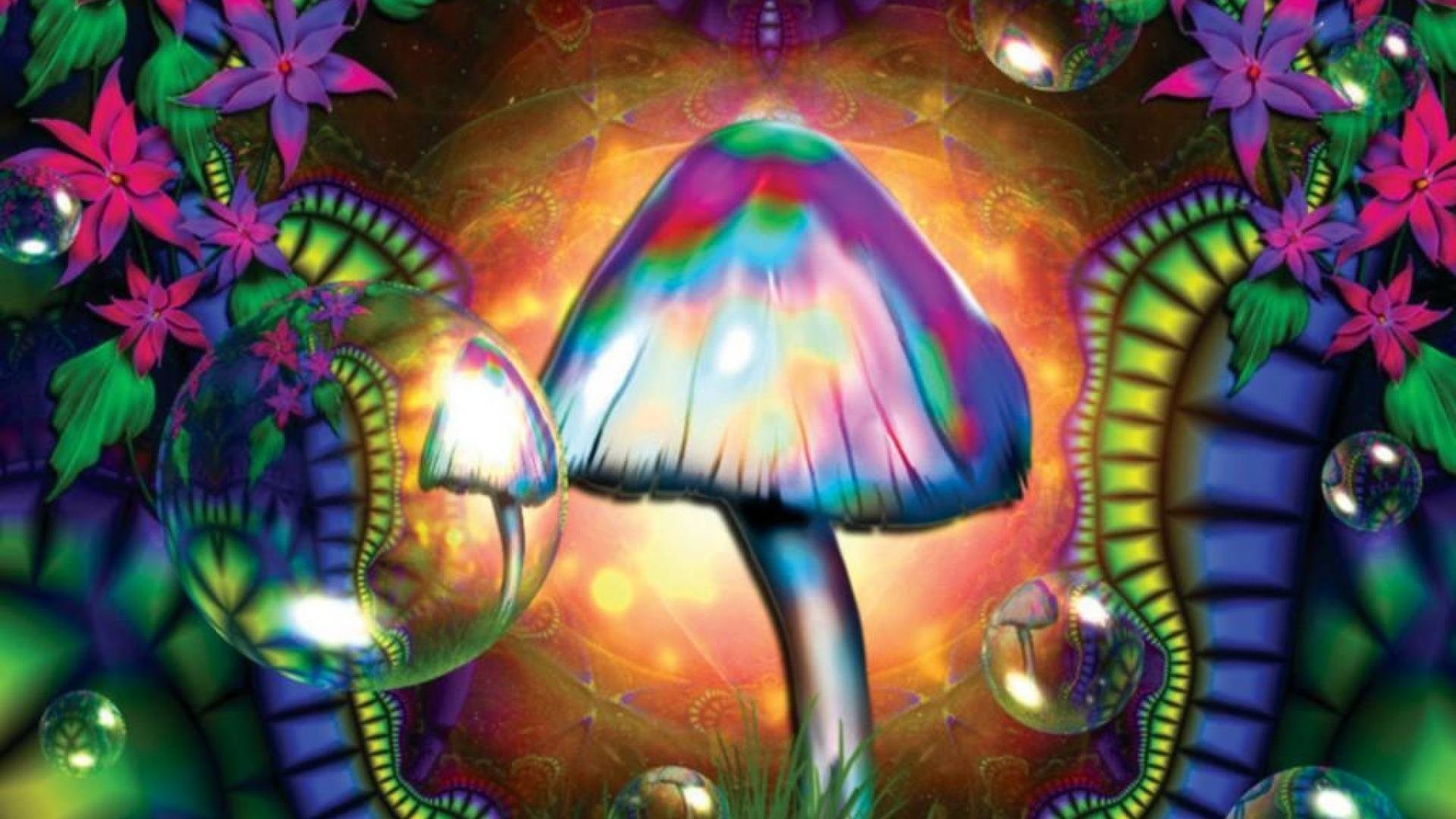 Free download trippy stoner wallpapers images x for your desktop mobile tablet explore psychedelic astronaut wallpapers psychedelic wallpapers astronaut wallpaper psychedelic wallpaper