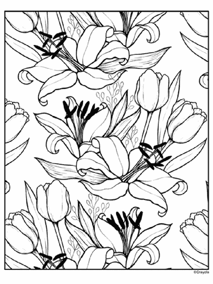 Lily and tulip coloring page
