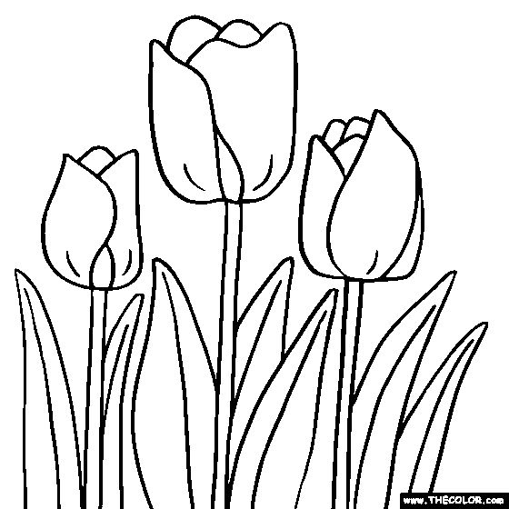Tulip flower coloring page tulip coloring flower coloring pages coloring pages glass painting patterns