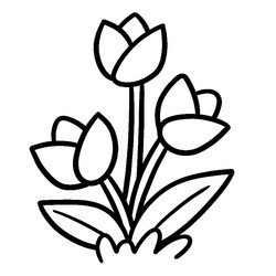 Tulip coloring pages vector images over