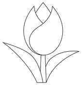 Tulip coloring pages free coloring pages