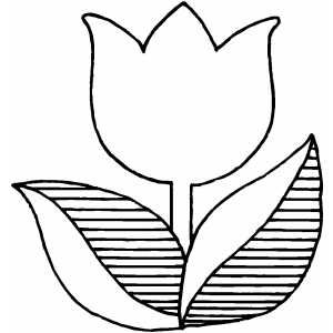 Tulip flower coloring sheet flower coloring sheets flower templates printable free flower template