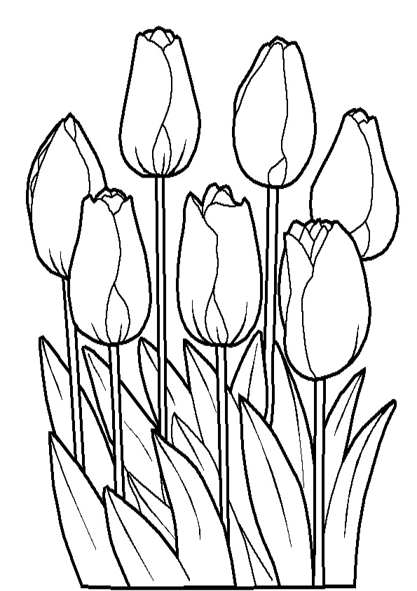 Coloring pages bunch of tulips flower coloring page