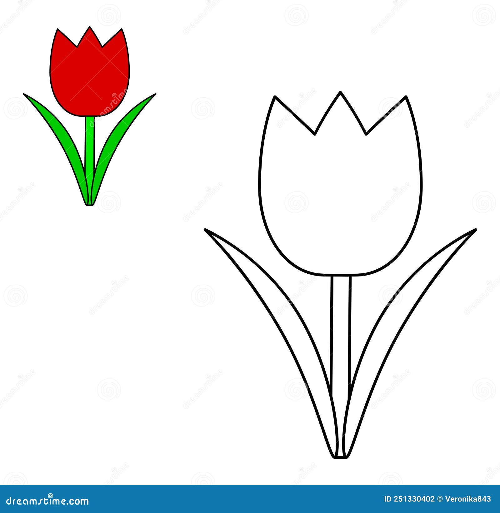 Red tulip colorful and black and white flower coloring book page for children stock vector