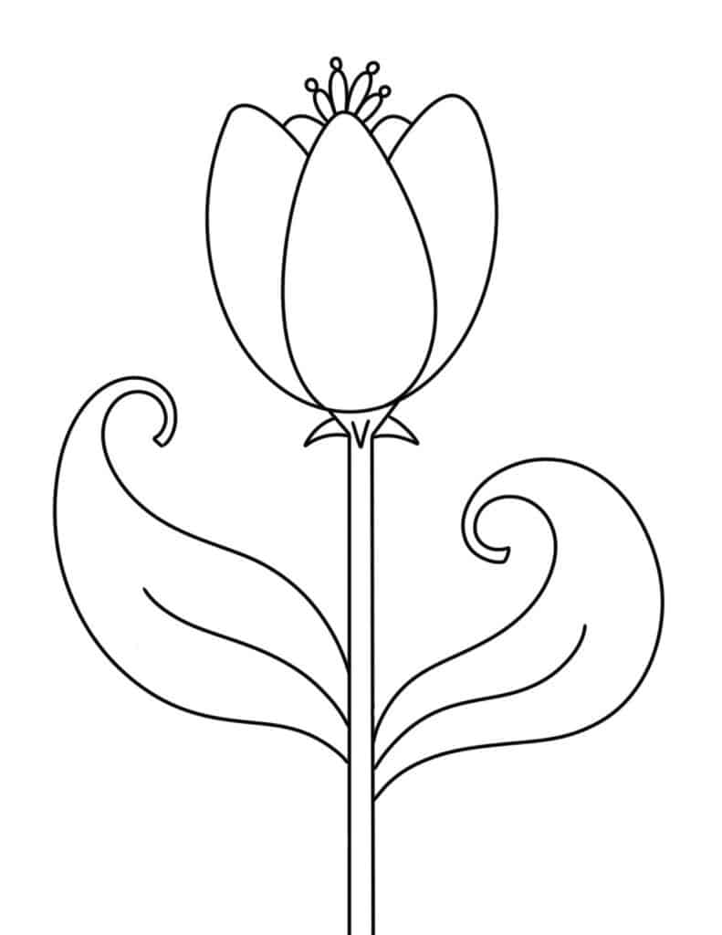 Coloring pages for flowers â the hollydog blog