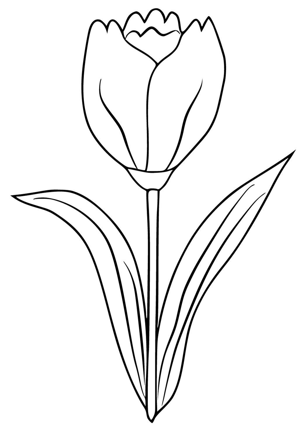 Free printable tulip easy coloring page for adults and kids